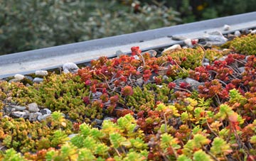 the cost of Coddington green roof installation