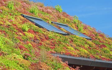 Coddington living roof systems