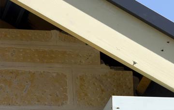 soffit repair Coddington