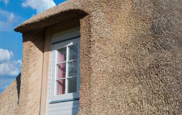 Coddington thatch roof disadvantages