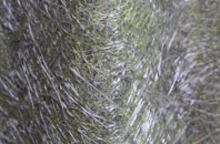 Coddington fibreglass roof work