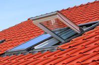 Coddington roof window